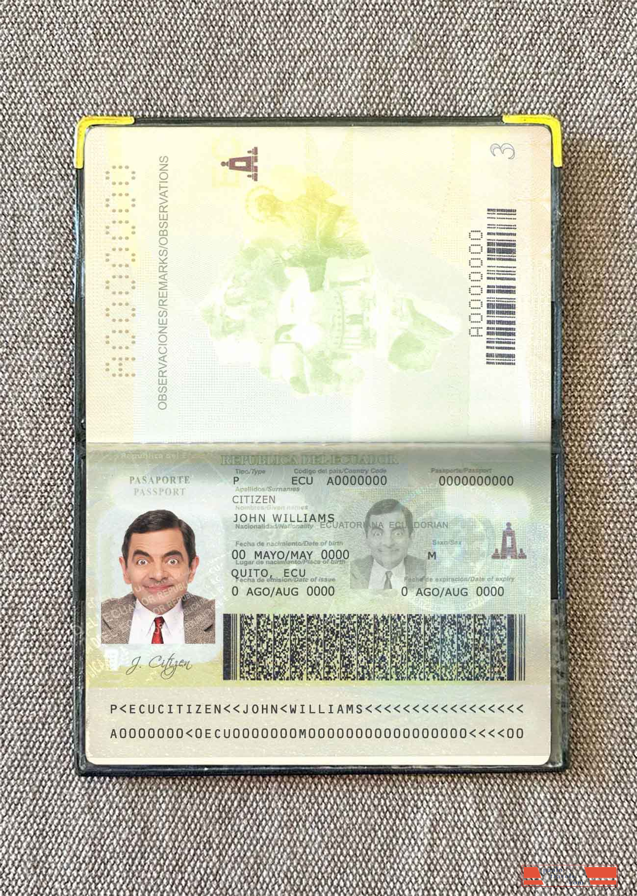 Ecuador passport photo look PSD template